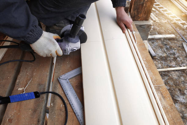 Best Composite Siding  in Biscoe, NC