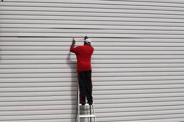 Best Historical Building Siding Restoration  in Biscoe, NC